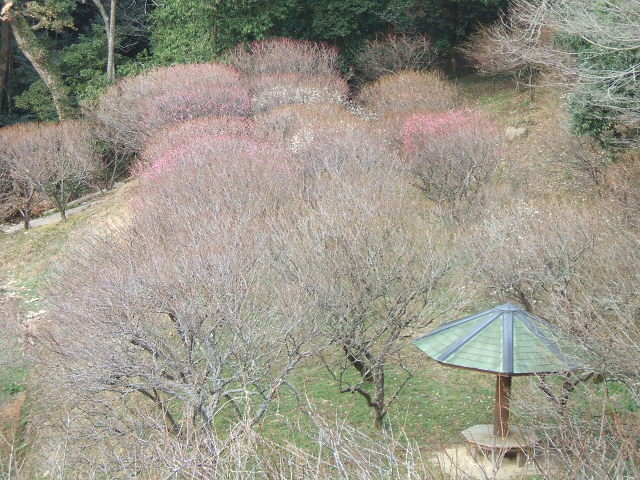 DSCF1092.JPG