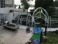 koji-pic102.jpg