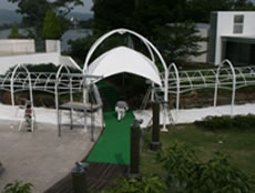 koji-pic103.jpg