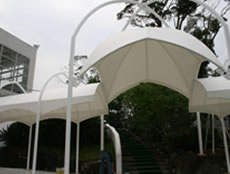 koji-pic105.jpg