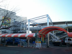 koji-pic203.jpg