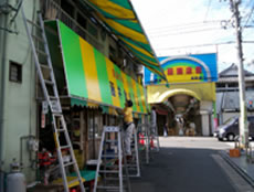 koji-pic301.jpg