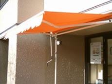koji-pic303.jpg